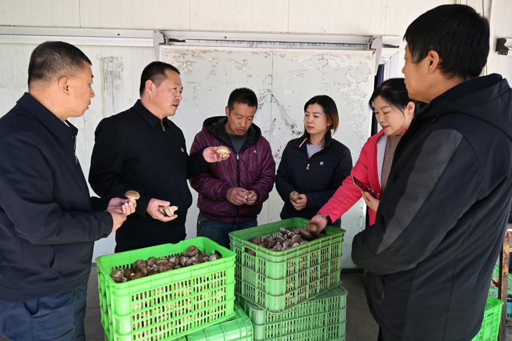 
广州肿瘤医院黄牛代挂号电话票贩子号贩子网上预约挂号,住院检查加快,二十大代表在基层丨顾瑞利：当好乡村振兴“领头雁”