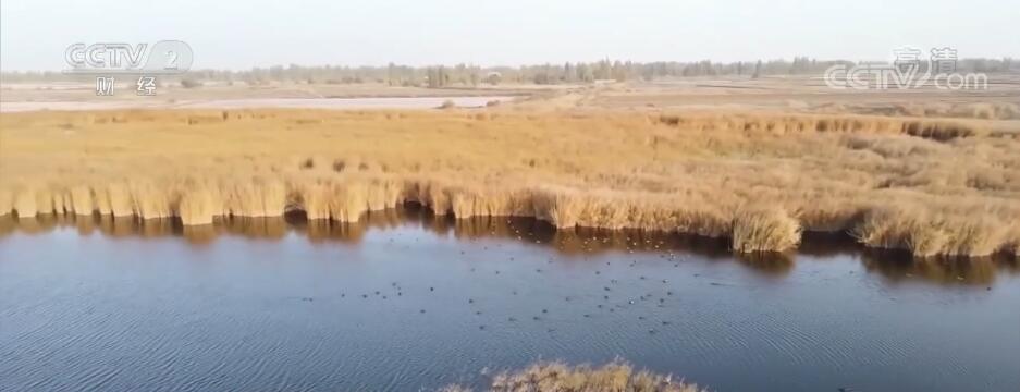 
天津眼科医院黄牛代挂号电话票贩子号贩子网上预约挂号,住院检查加快,生态环境改善 新疆且末沙漠腹地群鸟栖息