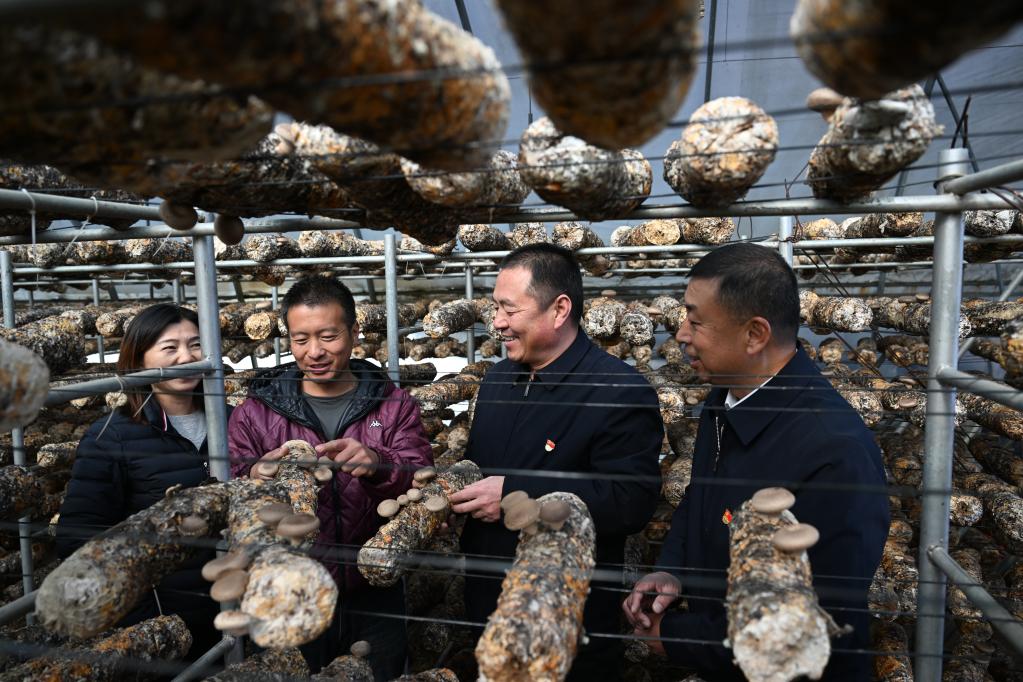 
广州肿瘤医院黄牛代挂号电话票贩子号贩子网上预约挂号,住院检查加快,二十大代表在基层丨顾瑞利：当好乡村振兴“领头雁”