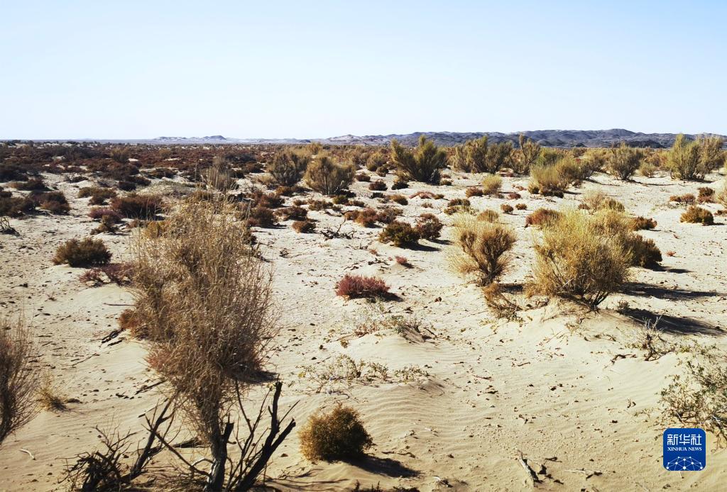 
首都医科大学附属阜外医院黄牛代挂号电话票贩子号贩子网上预约挂号,住院检查加快,踔厉奋发向未来·二十大精神在基层丨内蒙古乌拉特草原牧民：守护北疆绿色生态屏障