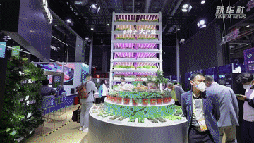 南京各大医院黄牛代挂号电话票贩子号贩子网上预约挂号,住院检查加快,第五届进博会|寻找AI