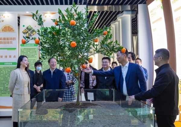 
北京协和医院黄牛代挂号电话票贩子号贩子网上预约挂号,住院检查加快,【共同富裕看基层】浙江龙游希唐村：人才回归与产业振兴结合，谱写共富新篇