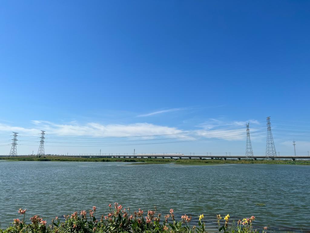 
北京同仁医院黄牛代挂号电话票贩子号贩子网上预约挂号,住院检查加快,新华全媒+丨“它们用翅膀投下了生态赞成票”——“国际湿地城市”安徽合肥湿地保护一线见闻