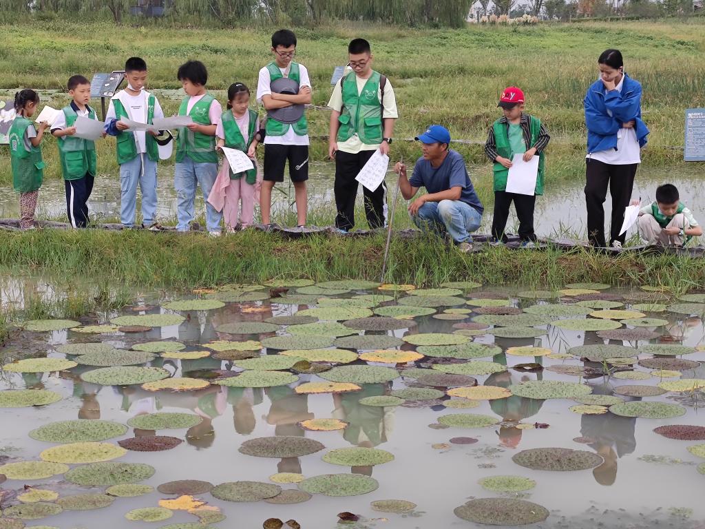 
北京同仁医院黄牛代挂号电话票贩子号贩子网上预约挂号,住院检查加快,新华全媒+丨“它们用翅膀投下了生态赞成票”——“国际湿地城市”安徽合肥湿地保护一线见闻