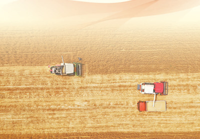 
北京302医院黄牛代挂号电话票贩子号贩子网上预约挂号,住院检查加快,绿了盐碱地 建成新粮仓（人民眼·盐碱地综合利用②）