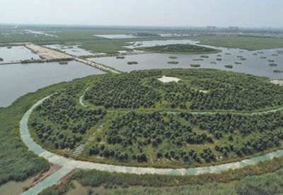 
北京302医院黄牛代挂号电话票贩子号贩子网上预约挂号,住院检查加快,绿了盐碱地 建成新粮仓（人民眼·盐碱地综合利用②）