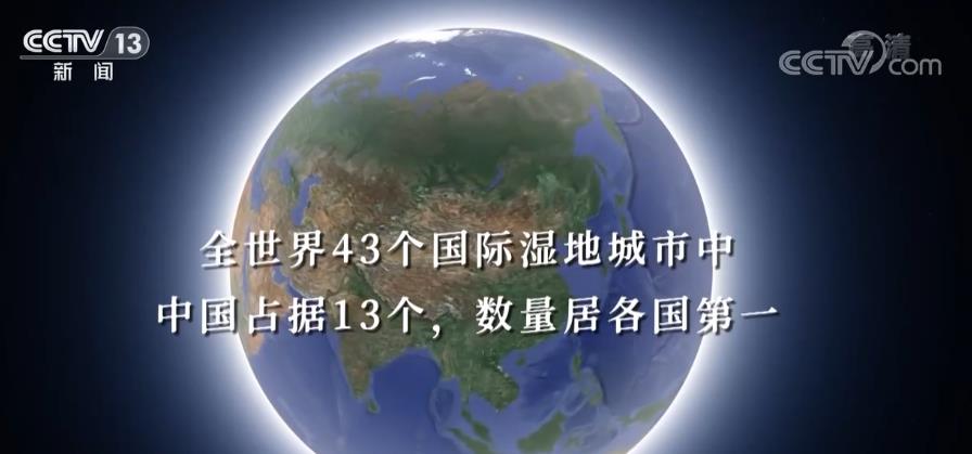 
杭州市七医院黄牛代挂号电话票贩子号贩子网上预约挂号,住院检查加快,“生态美”！湿地，成为美丽中国的名片