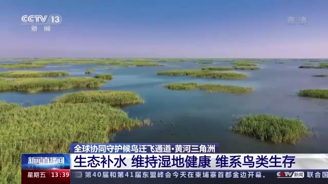 
中国医学科学院肿瘤医院黄牛代挂号电话票贩子号贩子网上预约挂号,住院检查加快,《湿地公约》第十四届缔约方大会丨全球协同守护候鸟迁飞通道