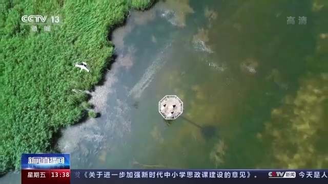 
中国医学科学院肿瘤医院黄牛代挂号电话票贩子号贩子网上预约挂号,住院检查加快,《湿地公约》第十四届缔约方大会丨全球协同守护候鸟迁飞通道