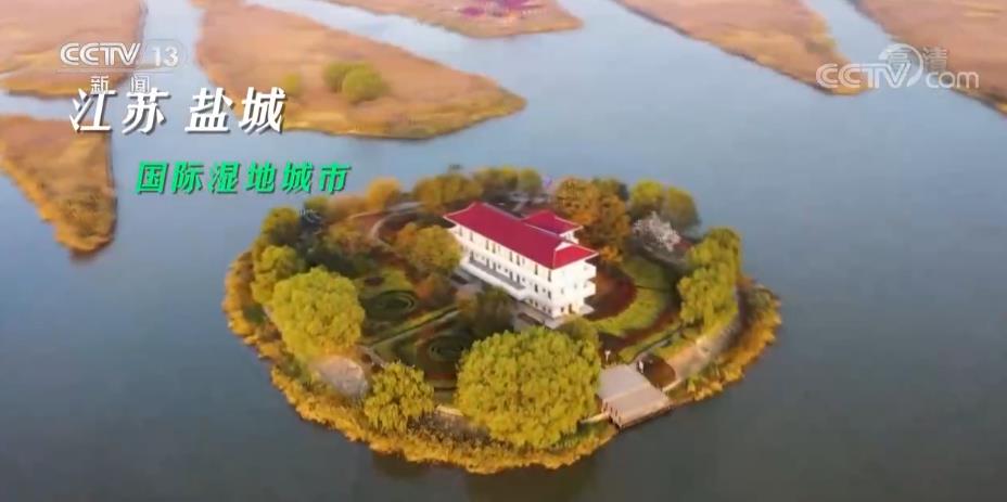 
杭州市七医院黄牛代挂号电话票贩子号贩子网上预约挂号,住院检查加快,“生态美”！湿地，成为美丽中国的名片