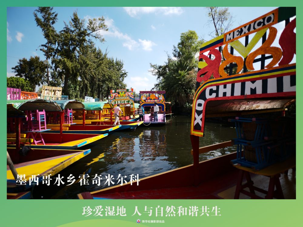 
南京各大医院黄牛代挂号电话票贩子号贩子网上预约挂号,住院检查加快,海报丨珍爱湿地 人与自然和谐共生