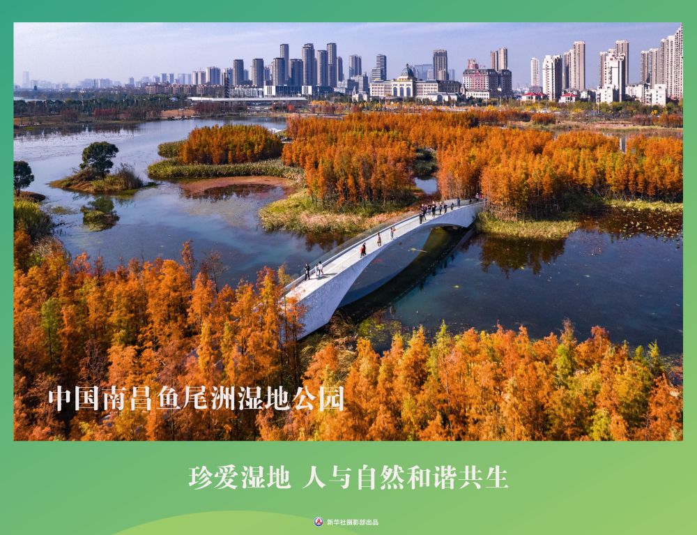 
南京各大医院黄牛代挂号电话票贩子号贩子网上预约挂号,住院检查加快,海报丨珍爱湿地 人与自然和谐共生