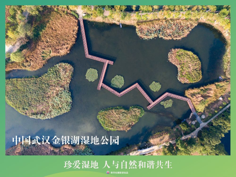 
南京各大医院黄牛代挂号电话票贩子号贩子网上预约挂号,住院检查加快,海报丨珍爱湿地 人与自然和谐共生