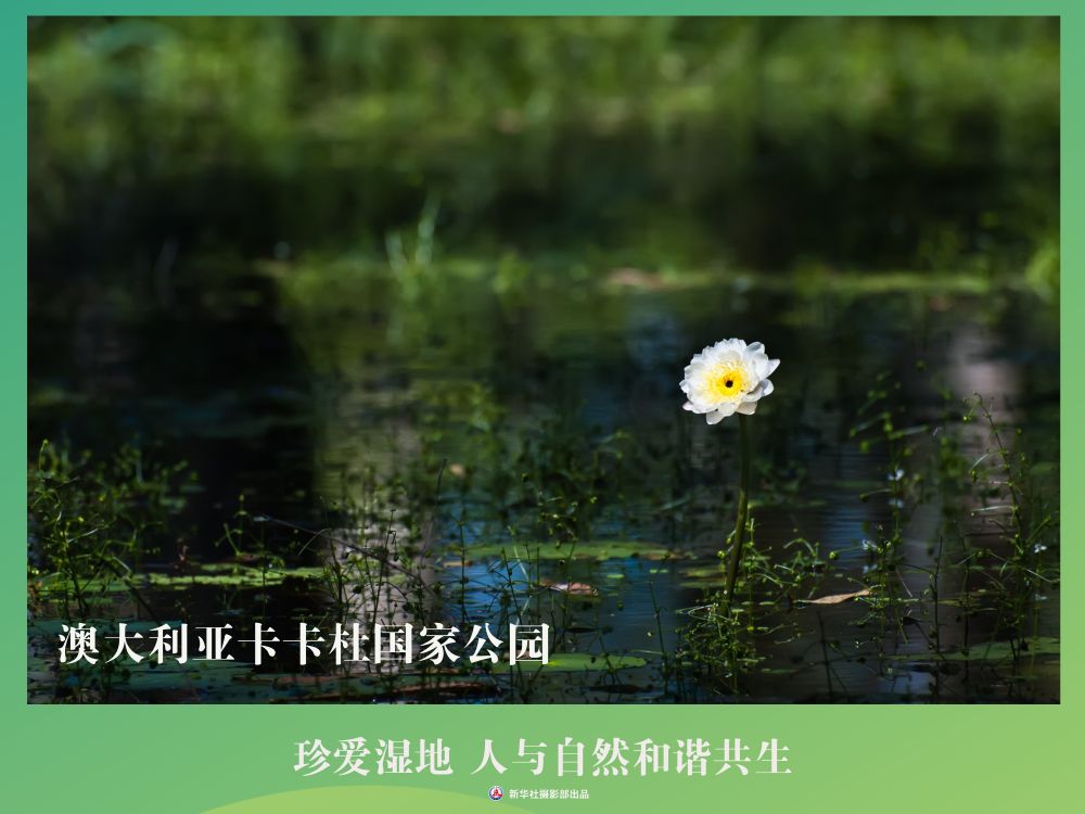 
南京各大医院黄牛代挂号电话票贩子号贩子网上预约挂号,住院检查加快,海报丨珍爱湿地 人与自然和谐共生