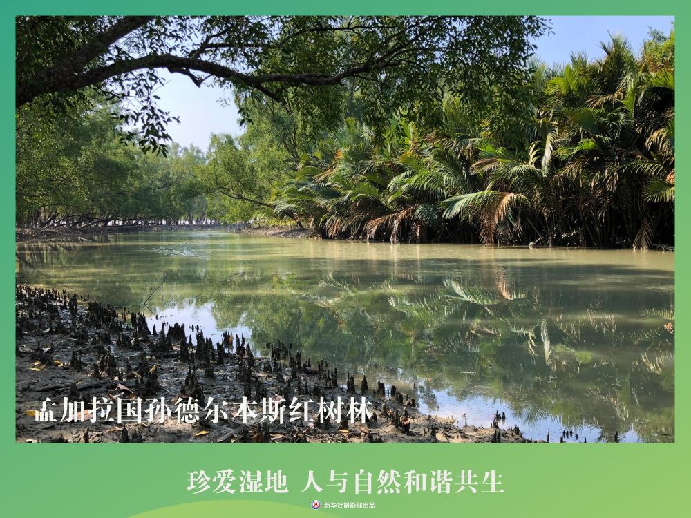 
南京各大医院黄牛代挂号电话票贩子号贩子网上预约挂号,住院检查加快,海报丨珍爱湿地 人与自然和谐共生