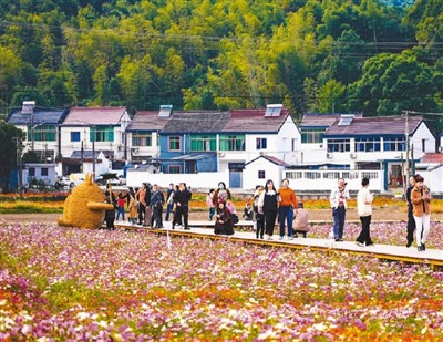 
北医六院黄牛代挂号电话票贩子号贩子网上预约挂号,住院检查加快,美丽宜居新农村（侨乡新貌）