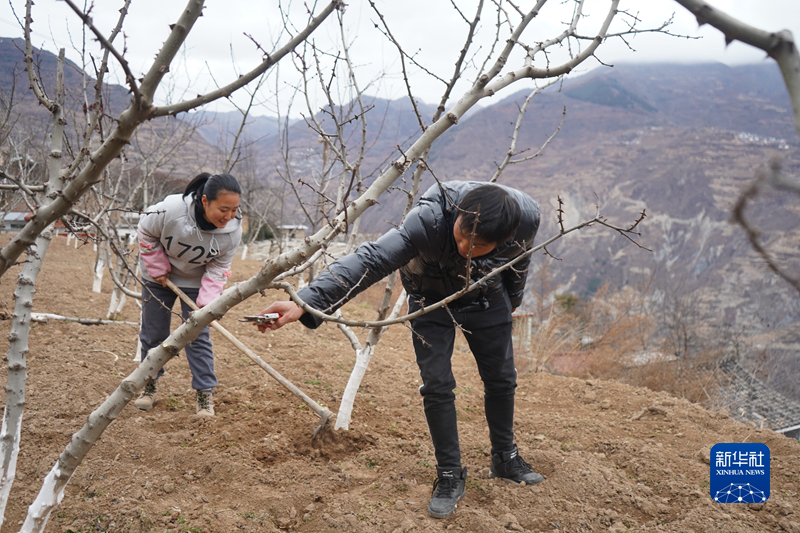 
北京同仁医院黄牛代挂号电话票贩子号贩子网上预约挂号,住院检查加快,特色产业绘就“陇上江南”新图景