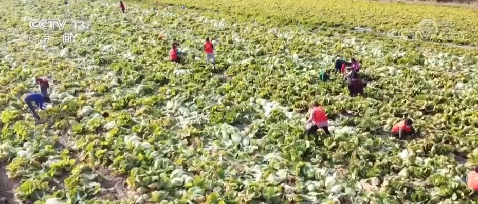 
北京世纪坛医院黄牛代挂号电话票贩子号贩子网上预约挂号,住院检查加快,新疆打造“菜篮子”基地和全季蔬菜供应保障基地