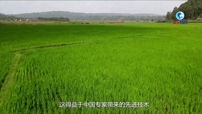 
北京阜外医院黄牛代挂号电话票贩子号贩子网上预约挂号,住院检查加快,全球连线｜全球发展的中国贡献