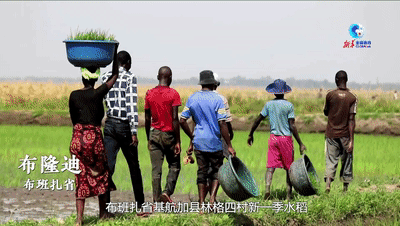 
北京阜外医院黄牛代挂号电话票贩子号贩子网上预约挂号,住院检查加快,全球连线｜全球发展的中国贡献