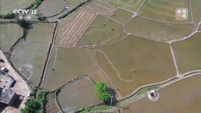 
中山大学肿瘤医院黄牛代挂号电话票贩子号贩子网上预约挂号,住院检查加快,焦点访谈丨秋收时节好“丰”景