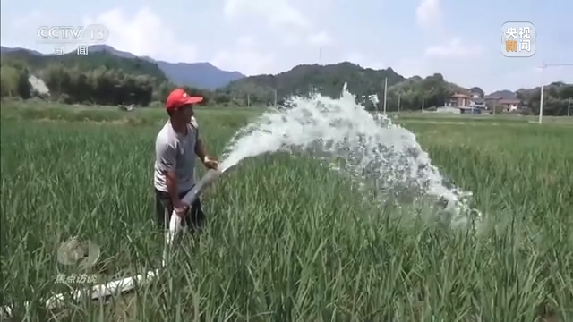 
中山大学肿瘤医院黄牛代挂号电话票贩子号贩子网上预约挂号,住院检查加快,焦点访谈丨秋收时节好“丰”景