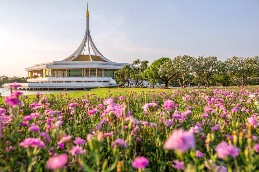 
江苏省人民医院黄牛代挂号电话票贩子号贩子网上预约挂号,住院检查加快,镜观世界 | 曼谷――传统与现代在这里交融