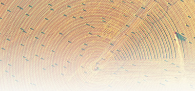 
长春吉大一院黄牛代挂号电话票贩子号贩子网上预约挂号,住院检查加快,盐碱地里麦花香（人民眼·盐碱地综合利用③）