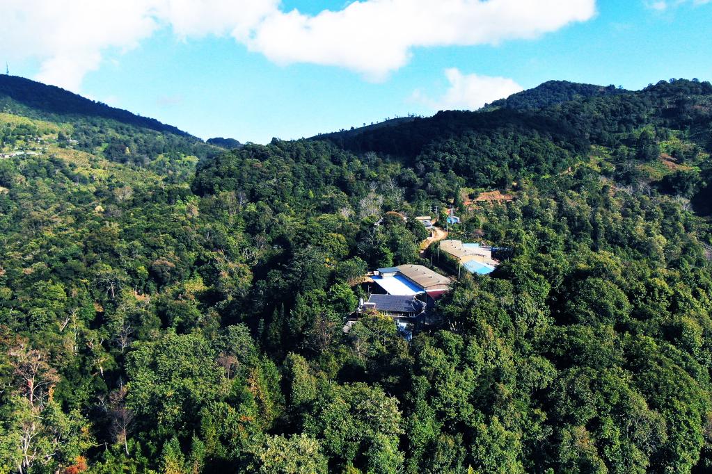 
杭州市富阳中医骨伤医院黄牛代挂号电话票贩子号贩子网上预约挂号,住院检查加快,“要让古茶树长青，群众日子更红火”