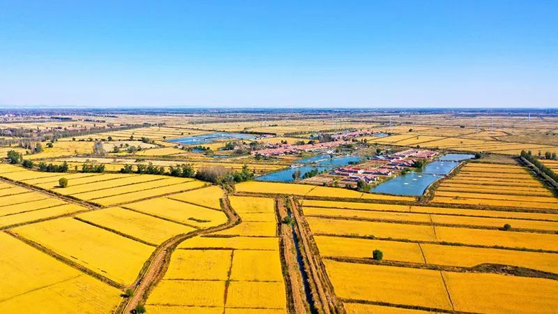 
南京军区总医院黄牛代挂号电话票贩子号贩子网上预约挂号,住院检查加快,【观察】一道沟，一副担；一畦稻，一幅画