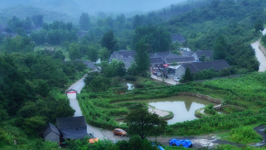 
南京军区总医院黄牛代挂号电话票贩子号贩子网上预约挂号,住院检查加快,【观察】一道沟，一副担；一畦稻，一幅画