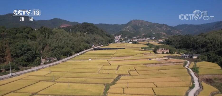 
浙江医院黄牛代挂号电话票贩子号贩子网上预约挂号,住院检查加快,地平整、土肥沃 高标准农田建设助力丰产丰收