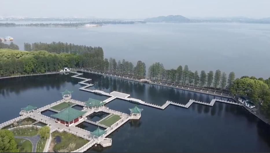 
上海胸科医院黄牛代挂号电话票贩子号贩子网上预约挂号,住院检查加快,新华全媒+｜走近沉湖湿地