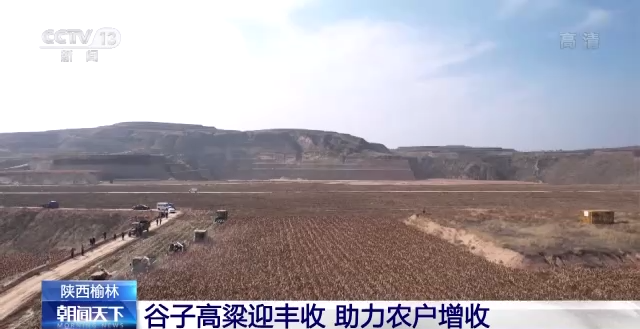 
首都医科大学附属儿童医院黄牛代挂号电话票贩子号贩子网上预约挂号,住院检查加快,全国秋粮收获接近尾声 高标准农田建设助力丰产丰收