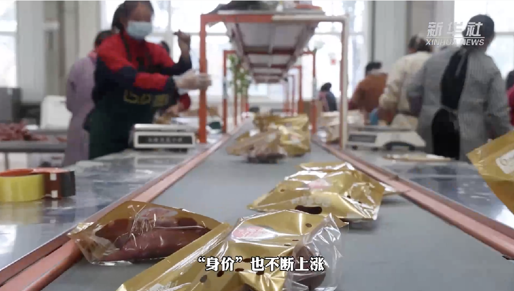 
北大口腔医院黄牛代挂号电话票贩子号贩子网上预约挂号,住院检查加快,新华全媒+丨一个红薯的“自述”