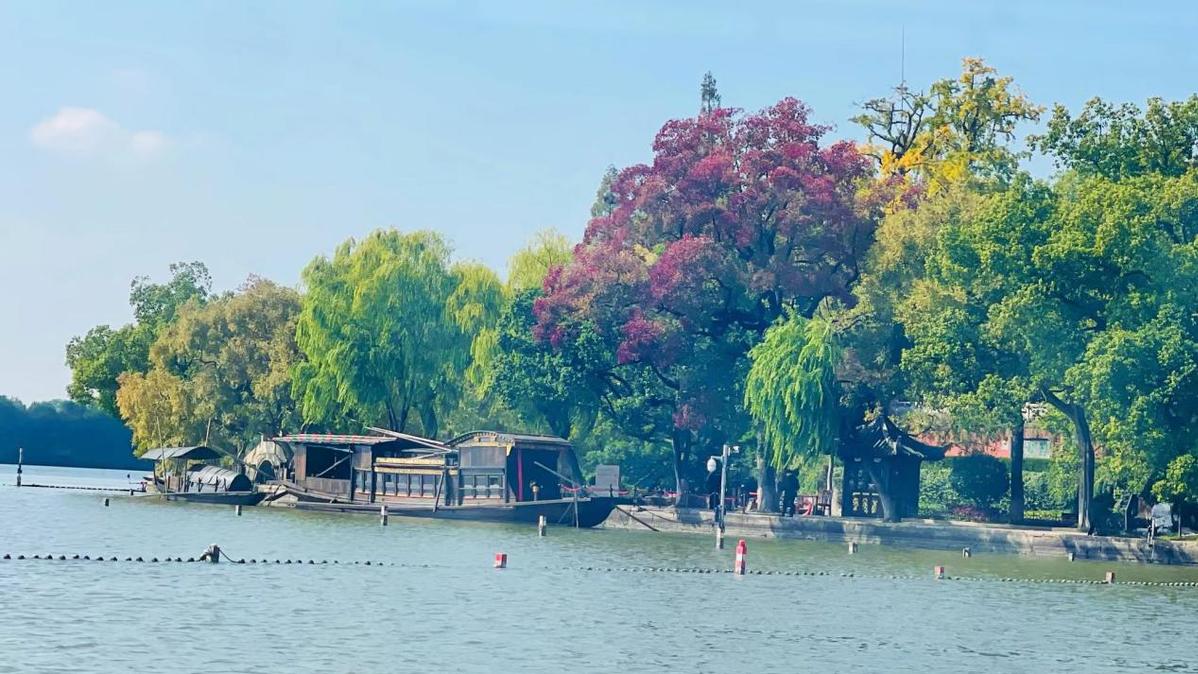 
南京市口腔医院黄牛代挂号电话票贩子号贩子网上预约挂号,住院检查加快,【2022 中国有约】打卡红色足迹 弘扬红船精神永放光芒