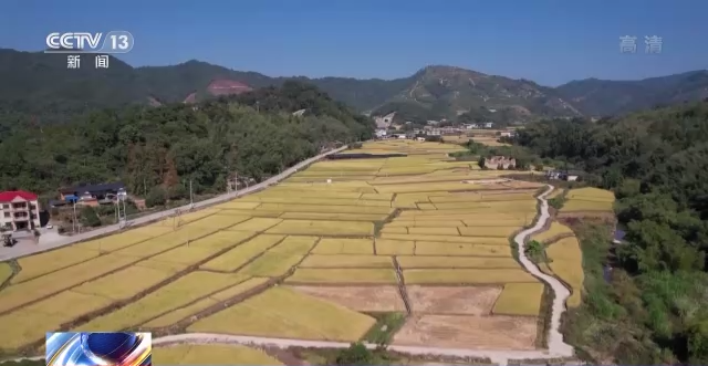 
首都医科大学附属儿童医院黄牛代挂号电话票贩子号贩子网上预约挂号,住院检查加快,全国秋粮收获接近尾声 高标准农田建设助力丰产丰收