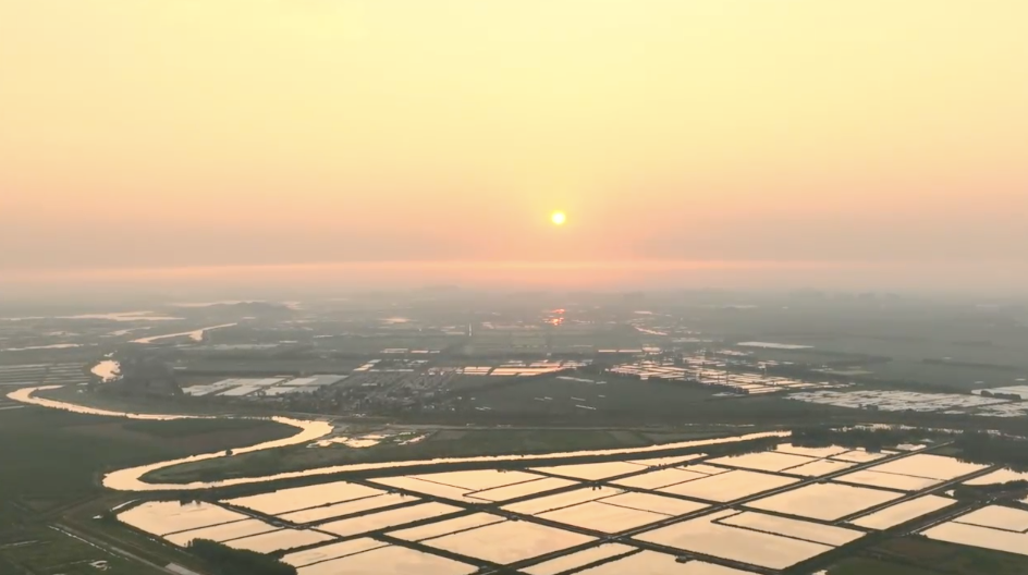
上海胸科医院黄牛代挂号电话票贩子号贩子网上预约挂号,住院检查加快,新华全媒+｜走近沉湖湿地