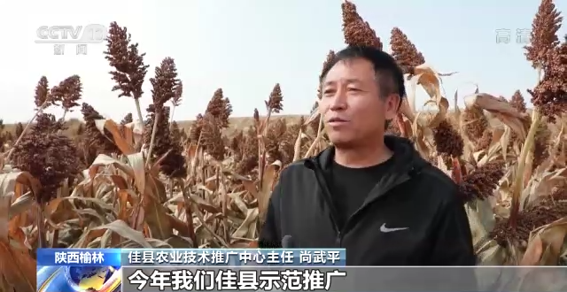 
首都医科大学附属儿童医院黄牛代挂号电话票贩子号贩子网上预约挂号,住院检查加快,全国秋粮收获接近尾声 高标准农田建设助力丰产丰收