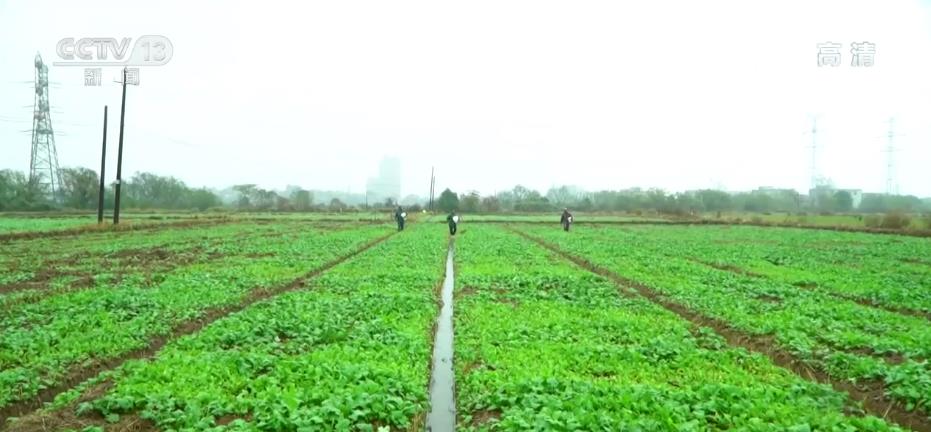 
广州中山一院黄牛代挂号电话票贩子号贩子网上预约挂号,住院检查加快,广大农户抢抓有利时机 扎实推进秋种工作