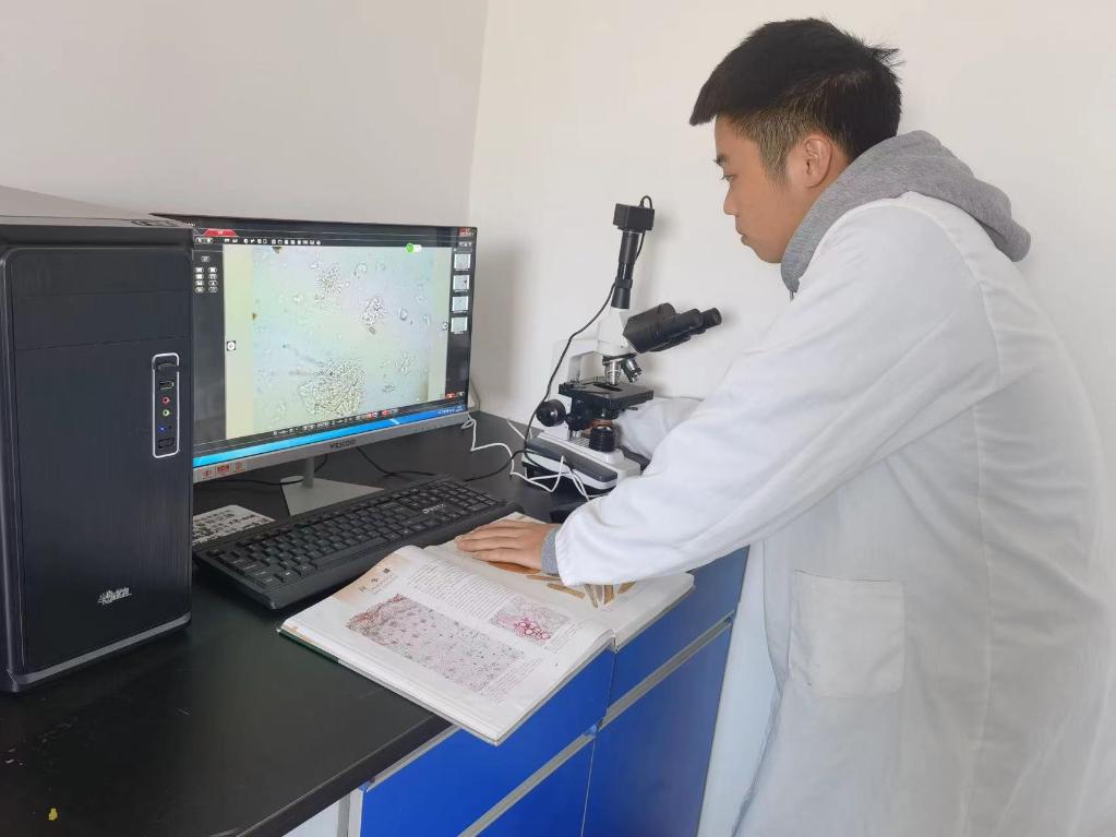 北京协和医院黄牛代挂号电话票贩子号贩子网上预约挂号,住院检查加快,新华全媒+｜税收减免、资金支持、应用场景构建……重庆多举措助力企业创新发展