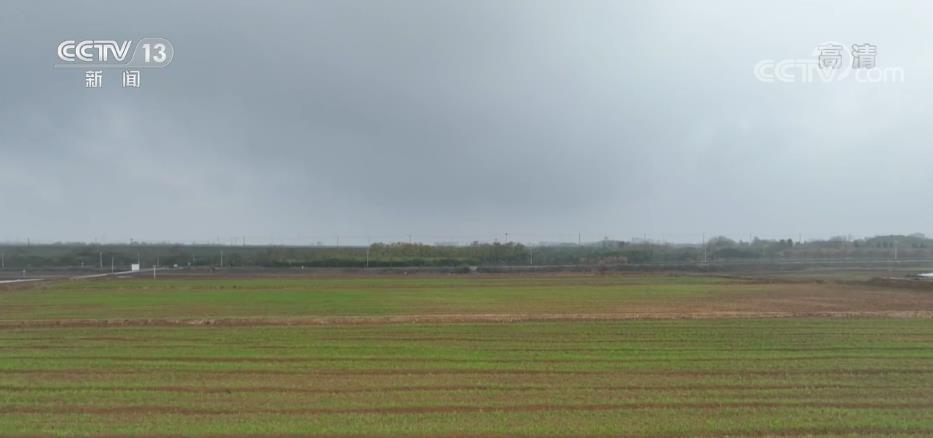 
广州中山一院黄牛代挂号电话票贩子号贩子网上预约挂号,住院检查加快,广大农户抢抓有利时机 扎实推进秋种工作