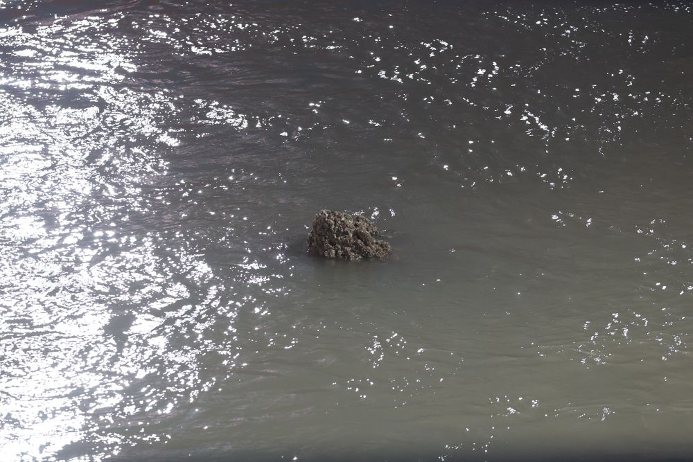 
浙江大学妇产科医院黄牛代挂号电话票贩子号贩子网上预约挂号,住院检查加快,长江口二号古船成功打捞出水