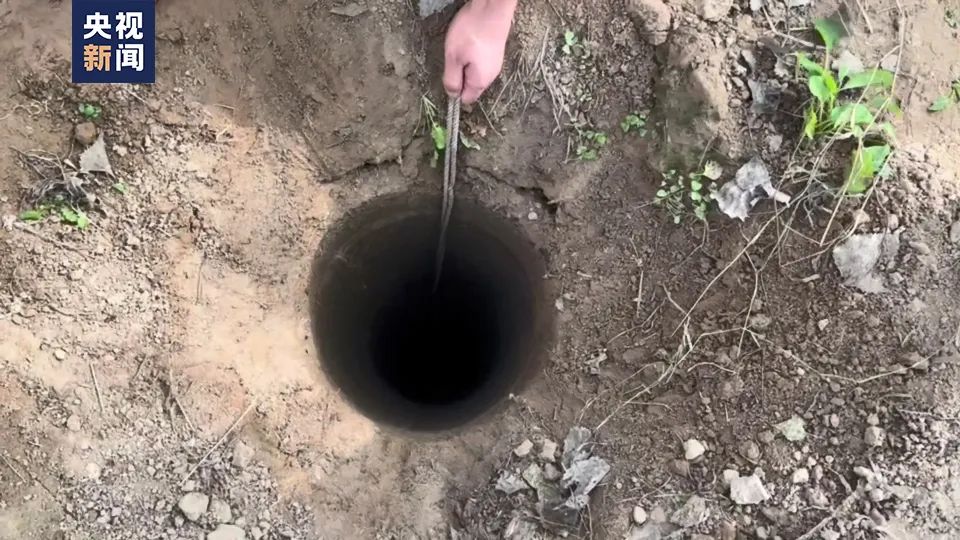 
江苏省中西医结合医院黄牛代挂号电话票贩子号贩子网上预约挂号,住院检查加快,“别害怕，我下来救你了！”