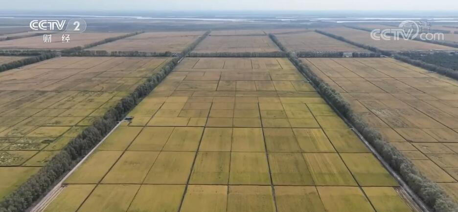 
成都华西医院黄牛代挂号电话票贩子号贩子网上预约挂号,住院检查加快,多地采取措施提高装载运输效率 保障北粮南运