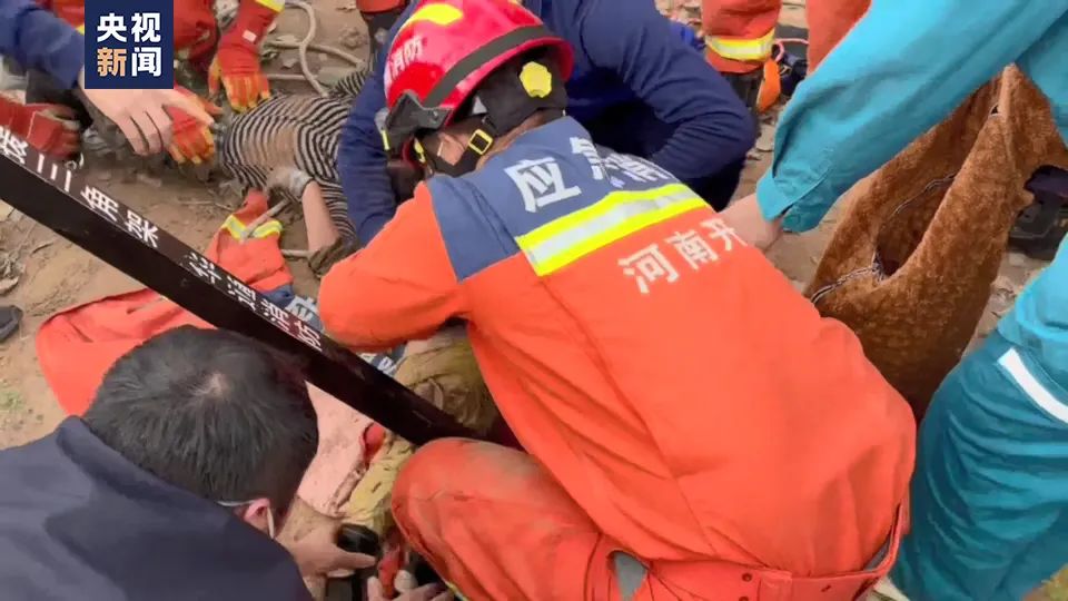 
江苏省中西医结合医院黄牛代挂号电话票贩子号贩子网上预约挂号,住院检查加快,“别害怕，我下来救你了！”