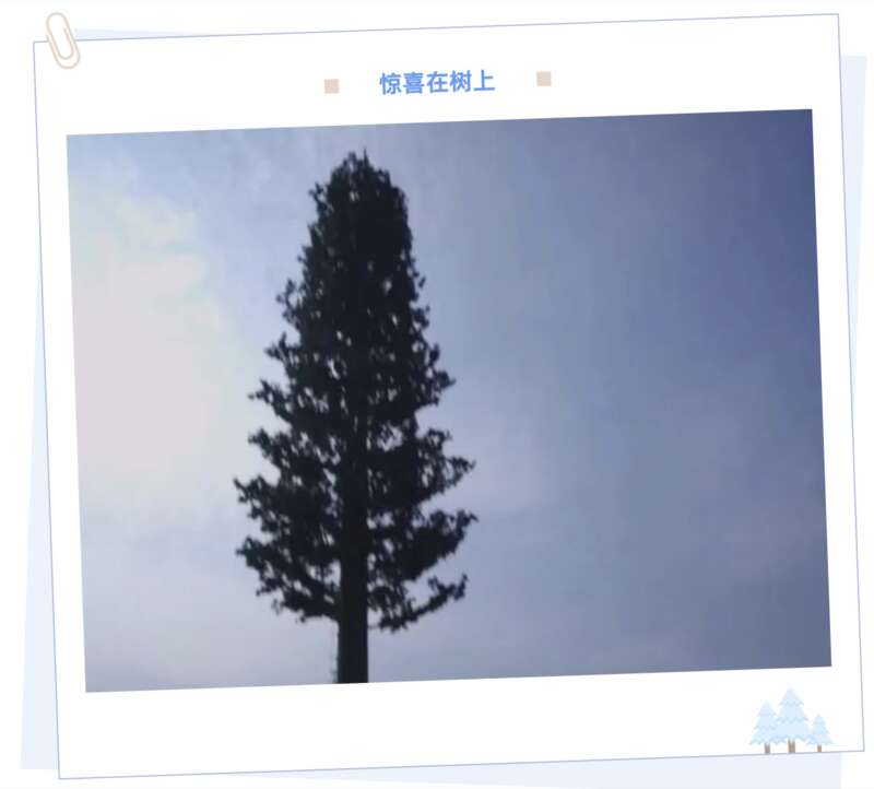 
杭州市第一人民医院黄牛代挂号电话票贩子号贩子网上预约挂号,住院检查加快,青年茶座 | 筑起超级工程的青年有多飒？