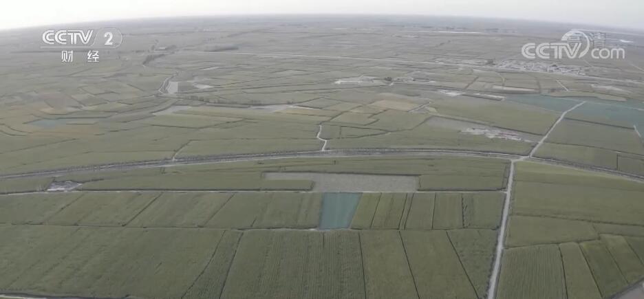 
北医六院黄牛代挂号电话票贩子号贩子网上预约挂号,住院检查加快,全国秋粮已收获12.7亿亩 进度同比相当