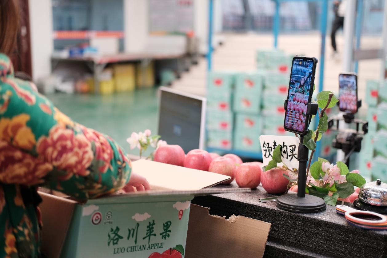 
广州儿童医院黄牛代挂号电话票贩子号贩子网上预约挂号,住院检查加快,总书记关心的苹果成为乡亲们脱贫致富的“幸福果”