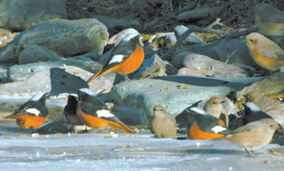 
沈阳医大二院黄牛代挂号电话票贩子号贩子网上预约挂号,住院检查加快,在中国，探寻自然之源（创作者谈）